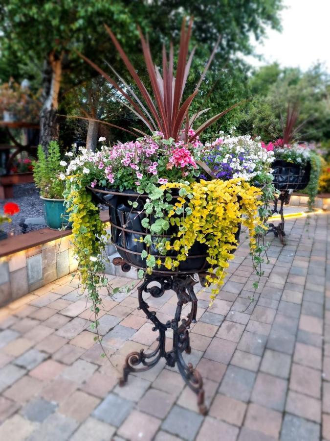 Woodmancote Varr House @ Meadow View المظهر الخارجي الصورة